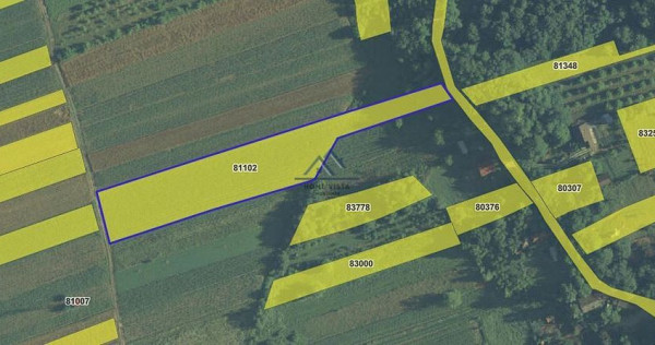 Teren intravilan 8147 mp – Băiculești, jud. Argeș