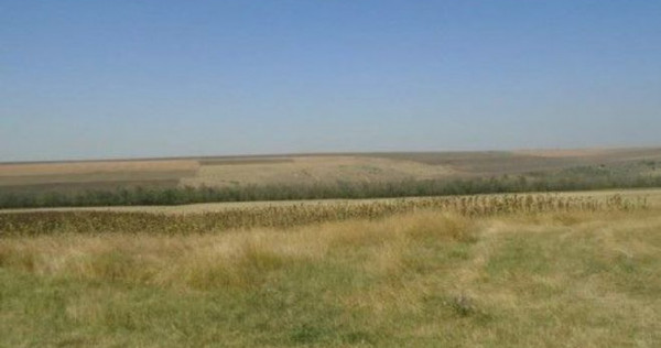 Teren Extravilan cota parte 1/4, Varlezi, ID: R2730256