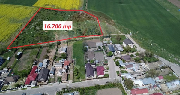 Teren Intravilan 16.700 Roman jud. Neamț / Strada Visinilor
