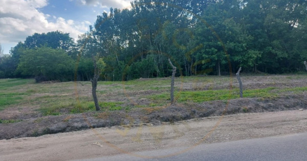 Teren intravilan 1843 mp - Cerbu/Albota/Arges - cu proiect d