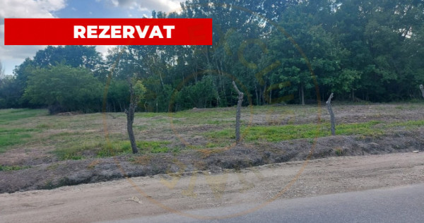 Teren intravilan 1843 mp - Cerbu/Albota/Arges - cu proiect d