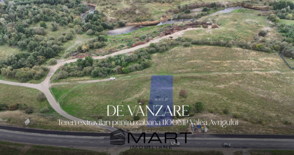 Teren 1100mp pe Valea Avrigului