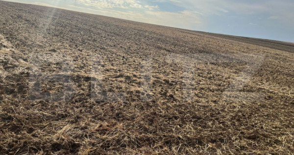 Teren de vanzare, 3.742 mp, zona Ghercesti