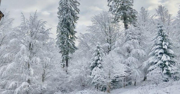 OFERTA in Poiana Brasov, 3 camere de vazare