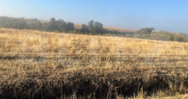 Teren intravilan, 2.500 mp, sat Sarbatoarea