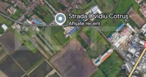 Teren intravilan, 17.700 mp, Calea Șagului