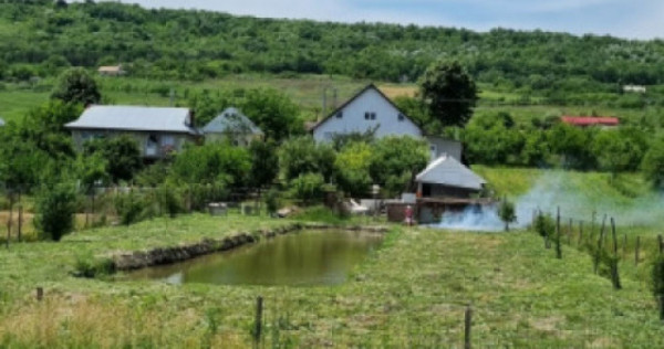 Investiție, Casă 170 mp cu 2400 mp teren cu IAZ la asfalt