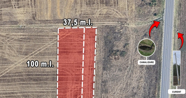 TEREN BRANESTI pentru MICA DEZVOLTARE IMOBILIARA.