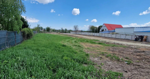 Teren Intravilan 2440 Stupini