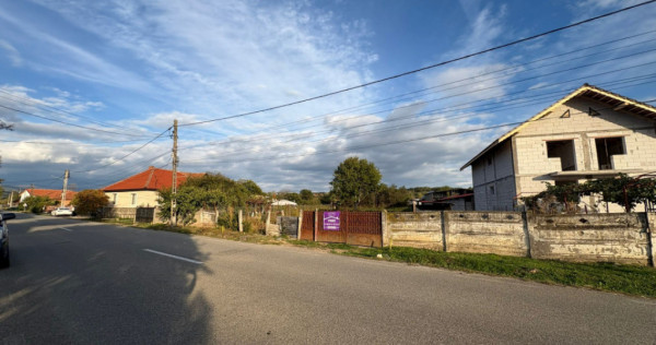 Teren 4449 mp cu utilitati, Curtisoara - la 13 km Tg. Jiu