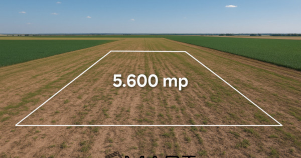 Teren extravilan 5600mp Daia Romana - Alba