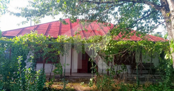 Exclusivitate_Lipia (Gruiu IF)- Casuta Bunicii