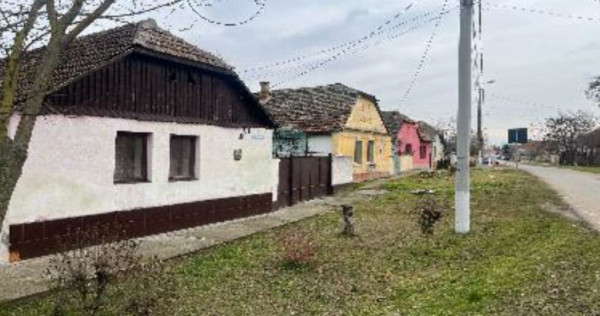 Cota de 1/2 din casa si teren, Loc Periam, Jud Timis