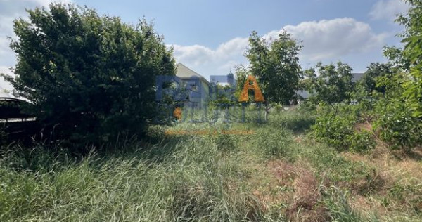 5200 mp intravilan - Str Viitorului (zona Abator)