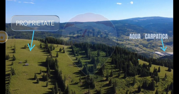 Teren 47,732mp Panaci / Strada MIhailet