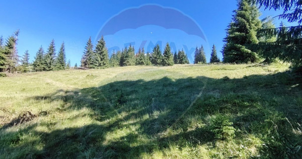 Teren 47,732mp Panaci / Strada MIhailet