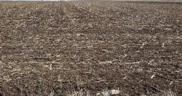 Teren extravilna Cota parte 1/16, CObadin, ID: R2782865