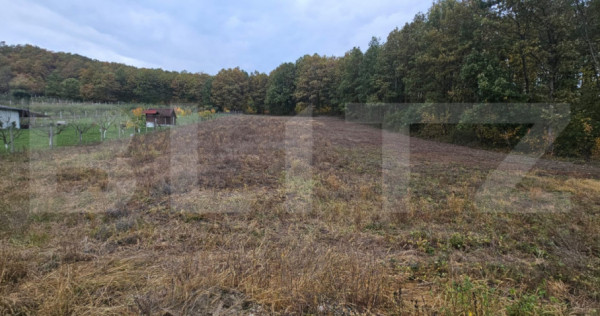 Teren intravilan parcelat - 2882 mp - Sat Bejan