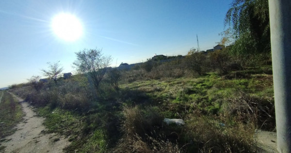 Teren intravilan 1000mp, front 52,38, zona Damila