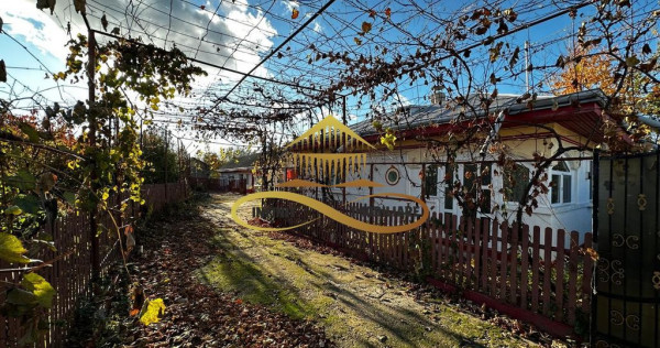 Casa batraneasca din caramida de vanzare si 4500 mp teren...