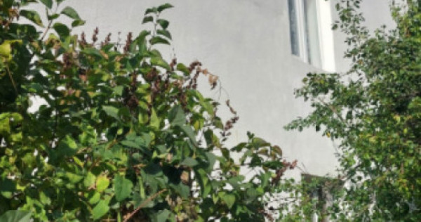 Casa unifamiliala de vanzare zona linistita Sighet