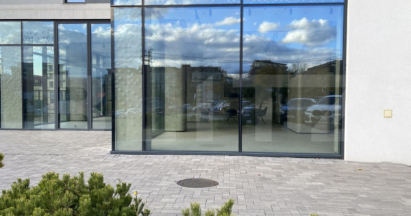 Spatiu cu vad comercial, 415 mp finisat, zona Iulius
