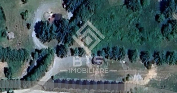 Teren de vanzare 12 ari - COLIBITA