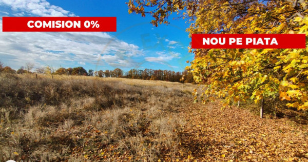 Terenuri intrevilane Comuna Mosoaia