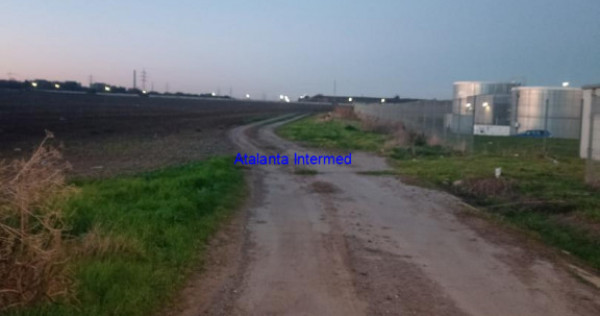 Teren constructie hale