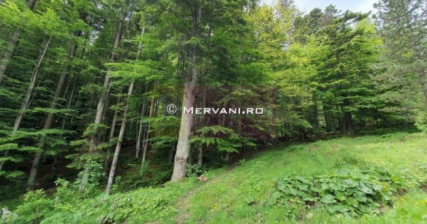 Teren intravilan de vanzare in Sinaia - Zona Furnica