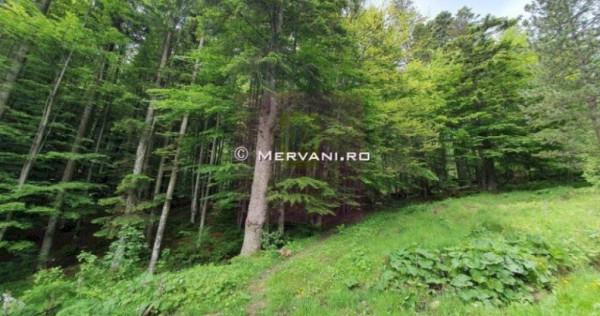 Teren intravilan de vanzare in Sinaia - Zona Furnica