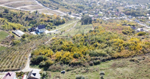 Teren Extravilan Bucium - Mun Iasi