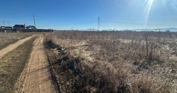 Teren Intravilan 540 mp Sanpetru