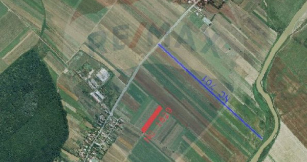 Teren 4,955mp in Nuci Ilfov, la numai 100 m de ultima cas...