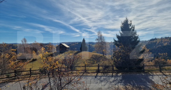 Teren intravilan, 24.888mp, front la strada, utilitati, Mari