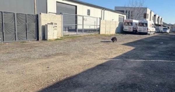 Hală 240 mp + teren 560 mp – Ilfov (cu chiriași, investiție sigură)