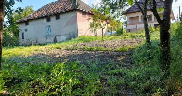 DE VANZARE- GOSPODARIE cu 95 arii teren