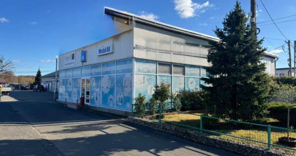 SERVICE AUTO Ultramodern (Business ultraprofitabil "la cheie