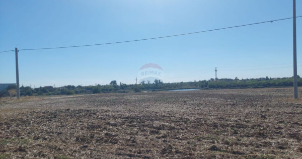 Teren de vânzare – Balotești, Strada Lacului, ansambl...