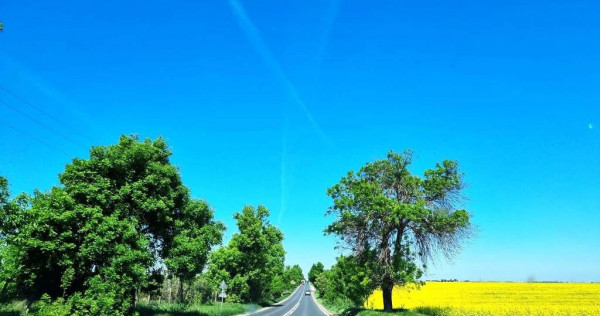 Popesti Frumusani Teren Construibil 560MP