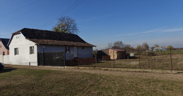 Casă! Satu Mare, Arad, Secusigiu