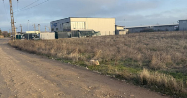 Teren intravilan , 3000 mp , deschidere 78 m, zona Carcea