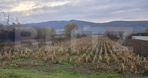 Teren intravilan, 2100 mp, Micesti