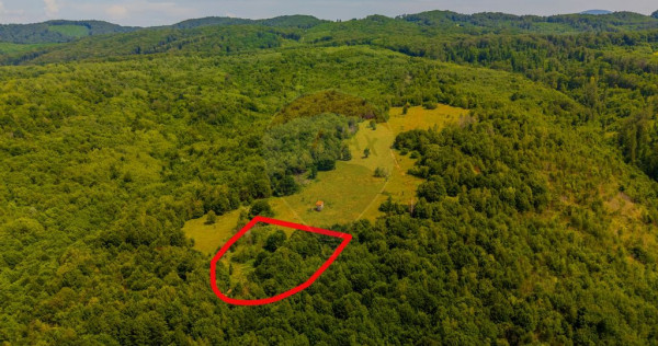 COMISION 0% Teren 6,572 mp/Curți construcții/ Intravilan