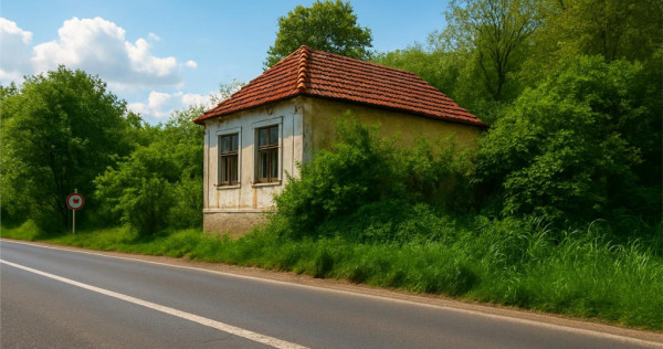 Domeniu verde autentic, 5.000mp, front la DJ, Valcele, Bra