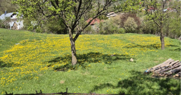 Vand teren Siriu 6400 mp