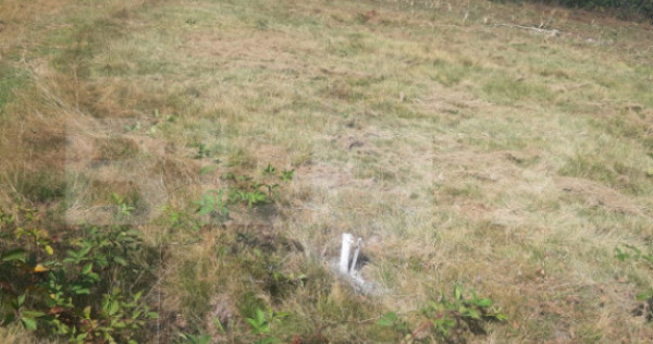 Teren extravilan 1300 mp, Cârțișoara- Malcuța