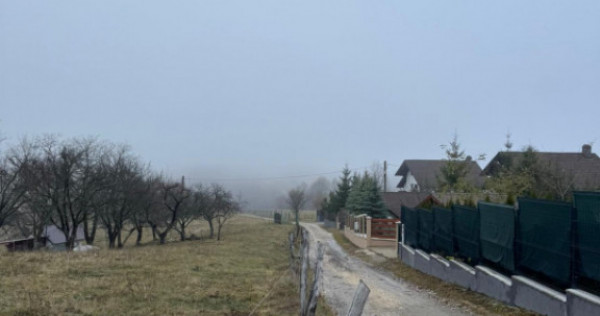 Teren Poiana Marului -Zarnesti -Brasov