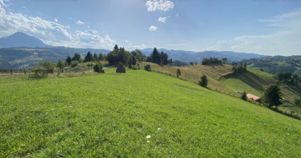 Teren Poiana Marului -Zarnesti -Brasov