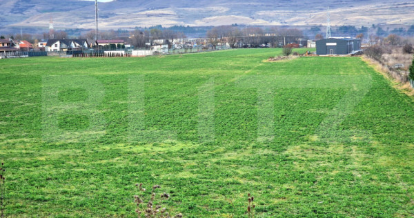 Teren cu PUZ aprobat, constructie case insiruite, 1440 mp, F